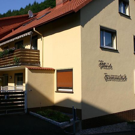 Haus-Kummeleck-Wohnung-3 Бад-Лаутерберг Екстер'єр фото